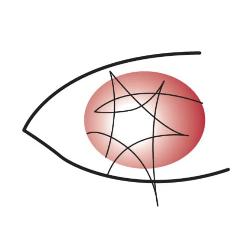 logo dra estudillo
